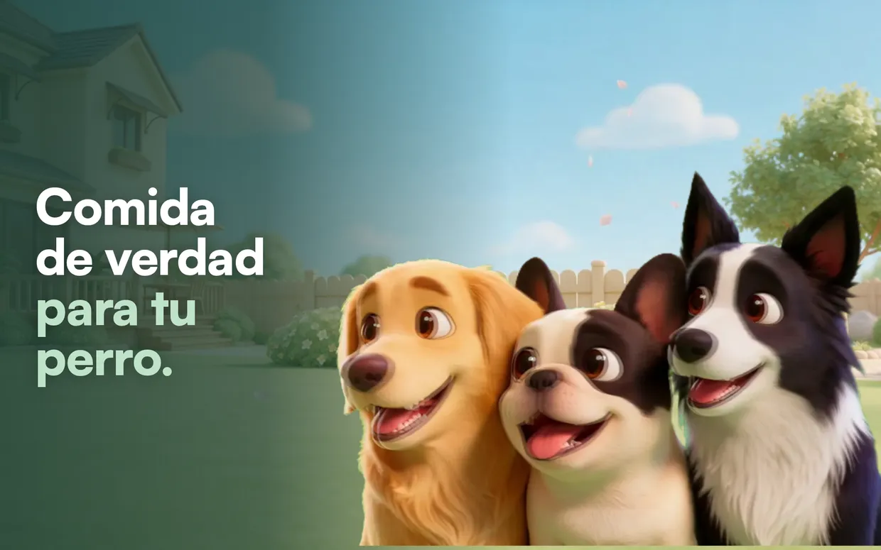 Portada de la web de Morro, comida fresca para perros